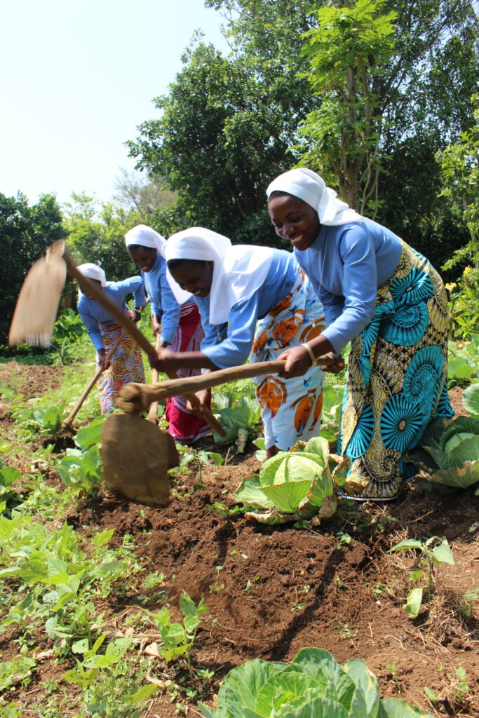 Levensonderhoud achtergrond acn 20230309 142427 scaled