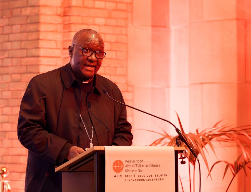 Red Wednesday 2025 6 van 12 LR